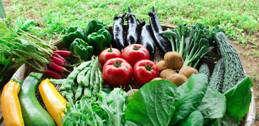 哈尔滨今明回暖至11℃，食安新规让你“吃”得更暖