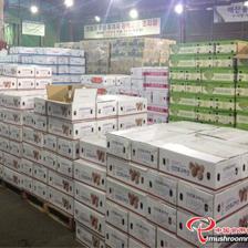 平泉市“瀑河源”荣膺全国食用菌行业优秀品牌，树立产业新标杆