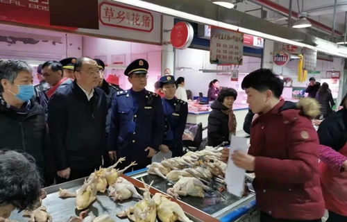 守好市民“菜篮子”防线 上海启动农贸与活禽市场疫情防控专项执法检查，筑牢食用农产品批发安全屏障
